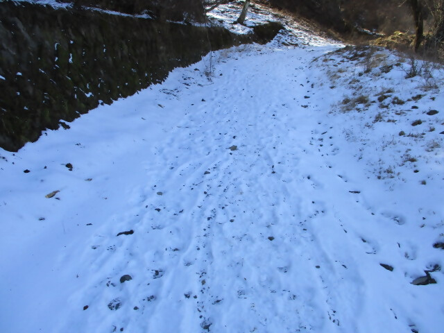 菩提峠水沢林道周辺で