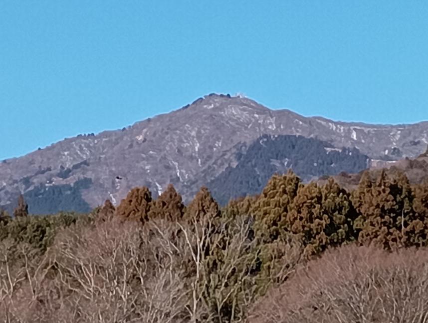 厚木市七沢から見た大山