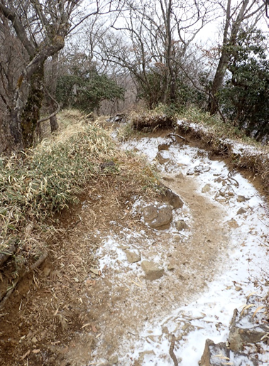 塔ノ岳山頂北側直下