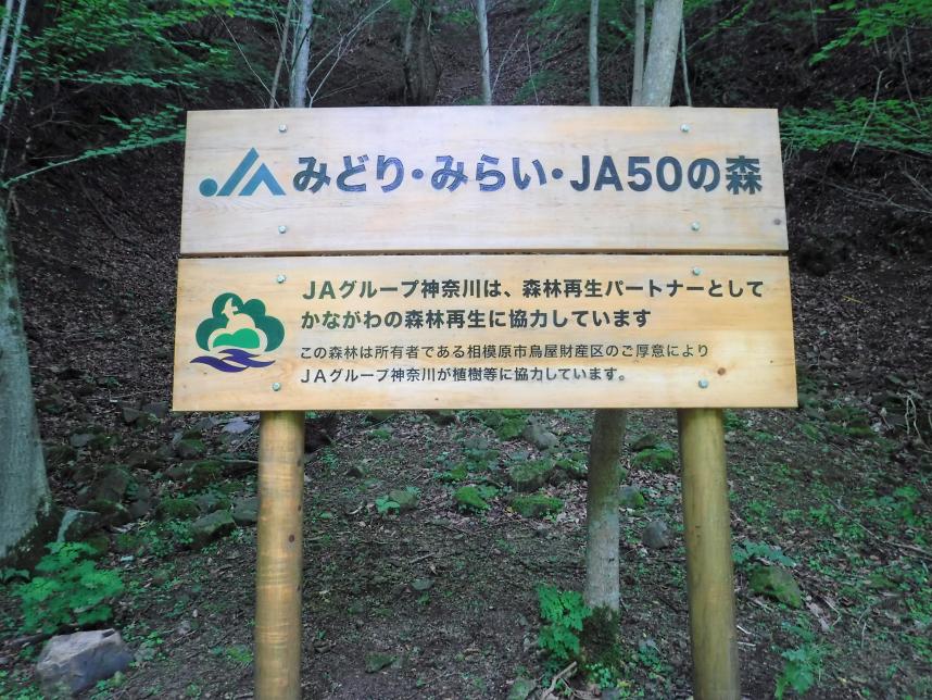 ネーミングライツ森林看板