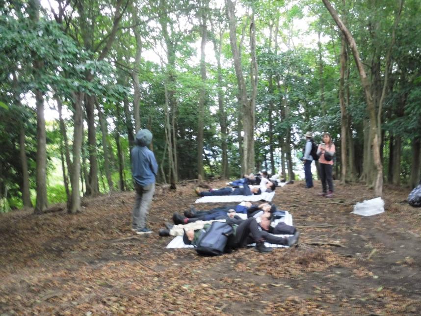 森林癒やし体験