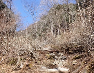 3月22日畦ヶ丸一軒屋避難小屋