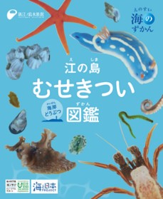 江の島むせきつい海岸どうぶつ図鑑