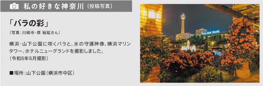 たより掲載イメージ