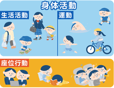 身体活動（生活活動・運動）、座位行動