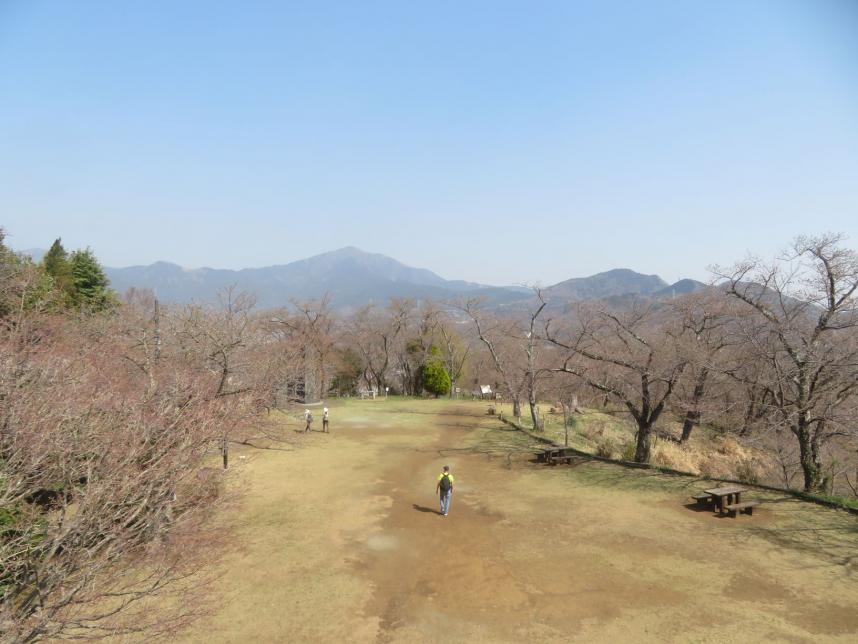 権現山秦野市山頂