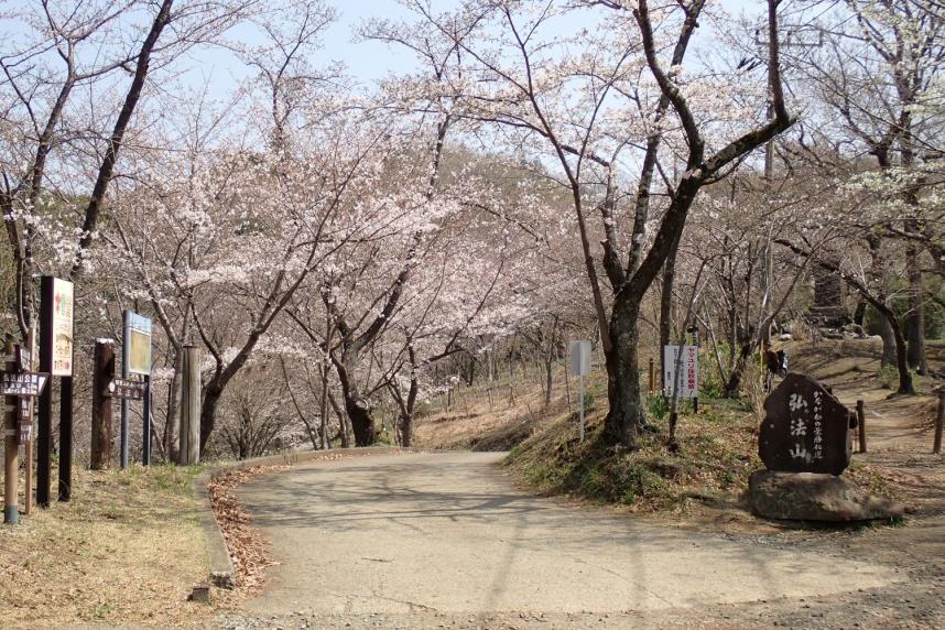 弘法山馬道周辺