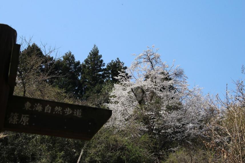 篠原登山口周辺