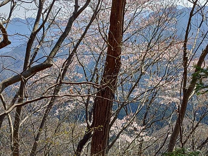 石老山