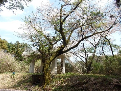 日向薬師　薬師林道展望台