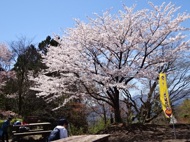 山頂周辺