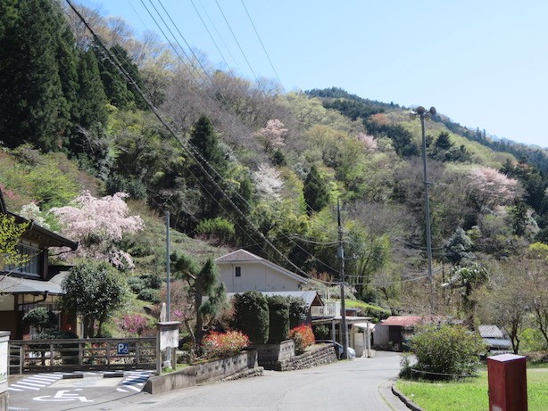 和田集落