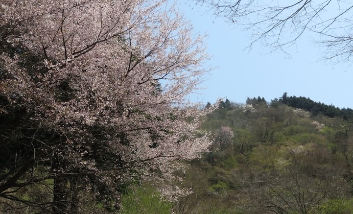 菩提風神祠周辺