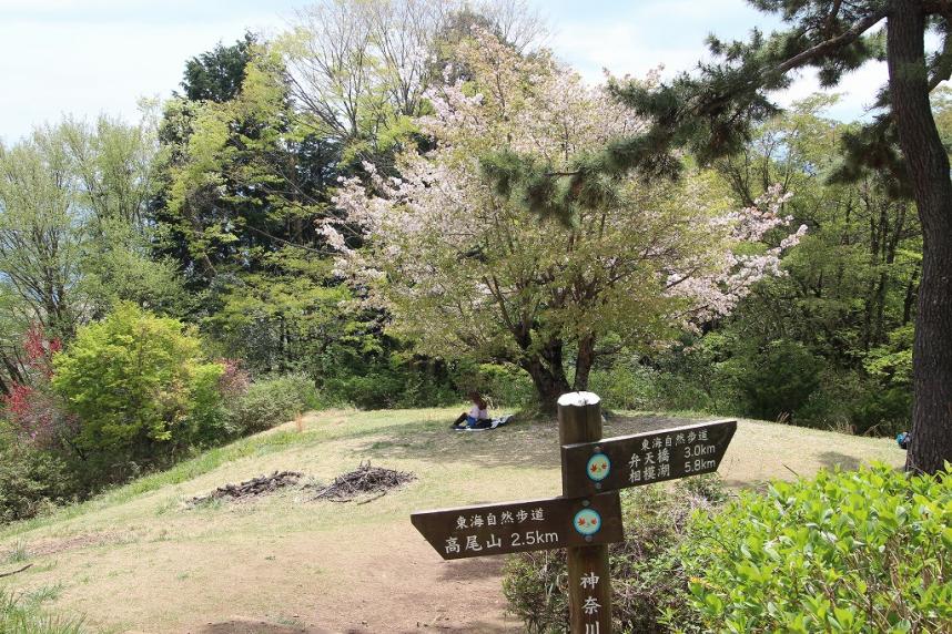 小仏城山山頂周辺