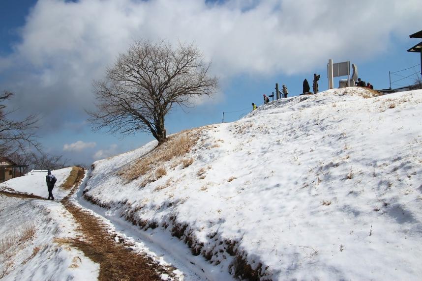 陣馬山山頂