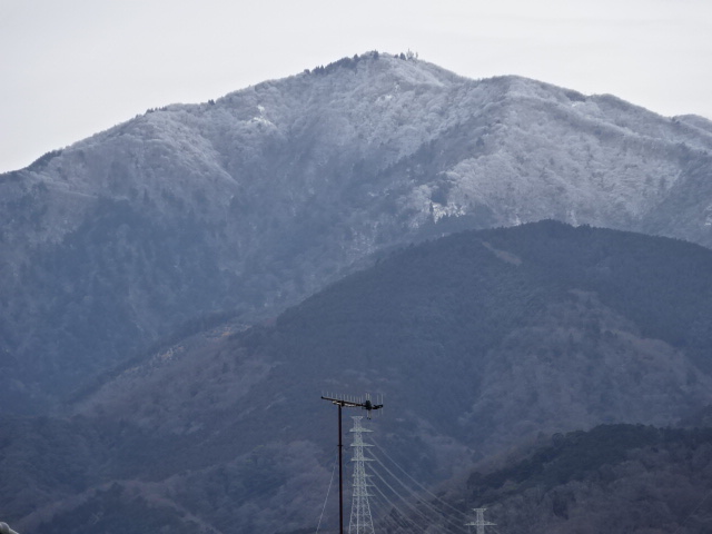 3月4日伊勢原から見た大山