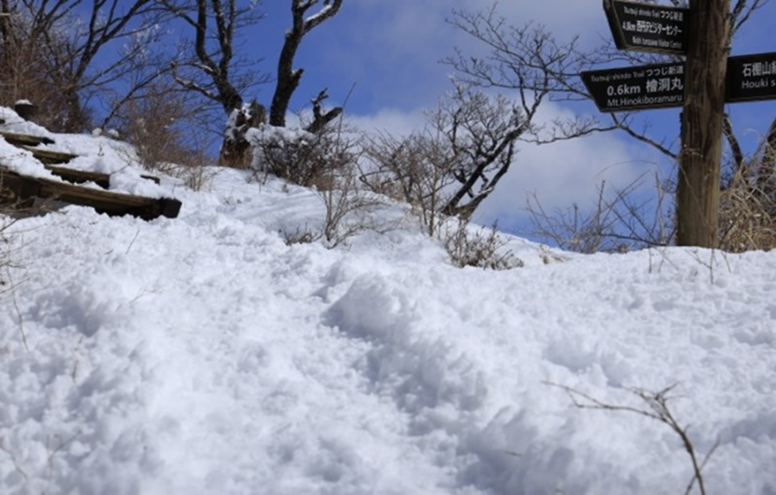 つつじ新道　石棚山稜分岐
