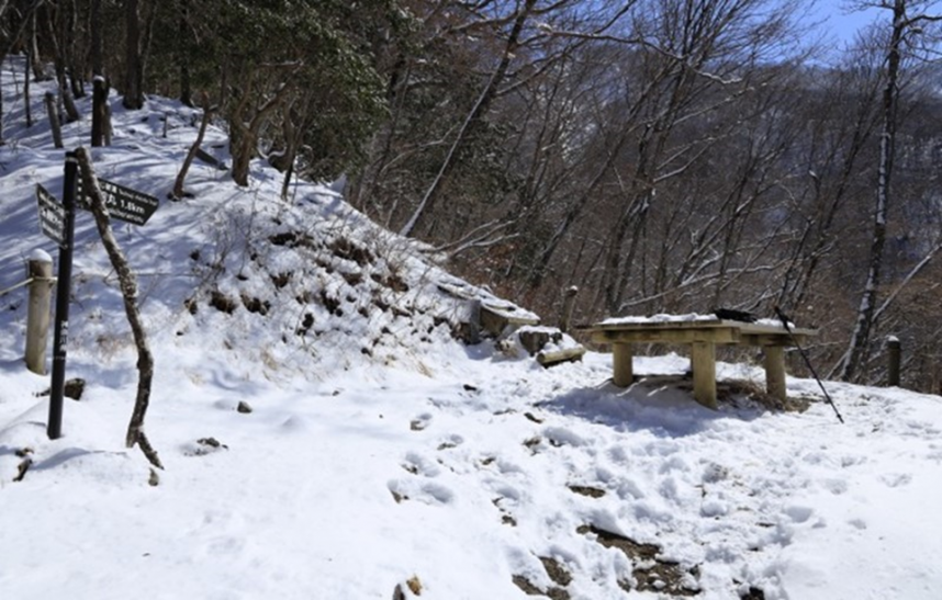 つつじ新道　展望園地