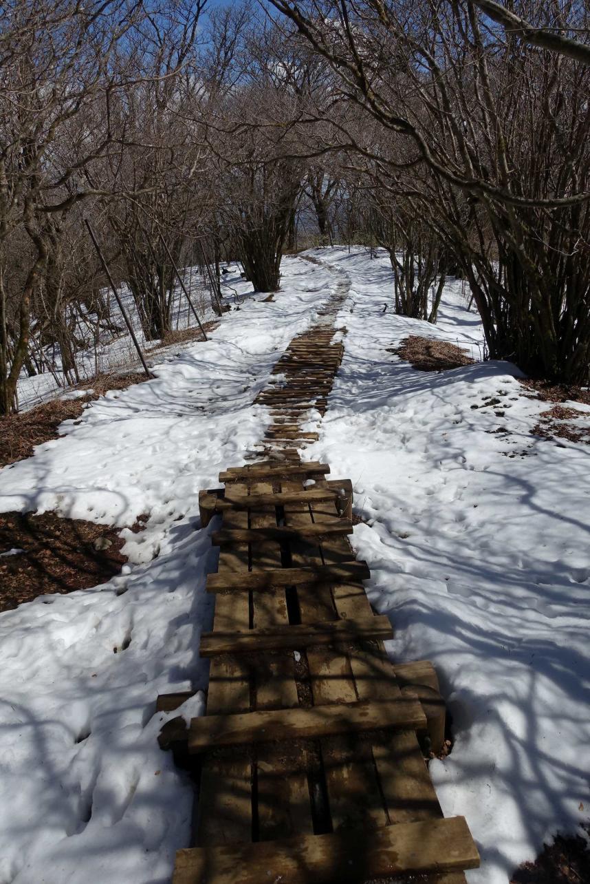 3月17日大山雷ノ峰尾根上部