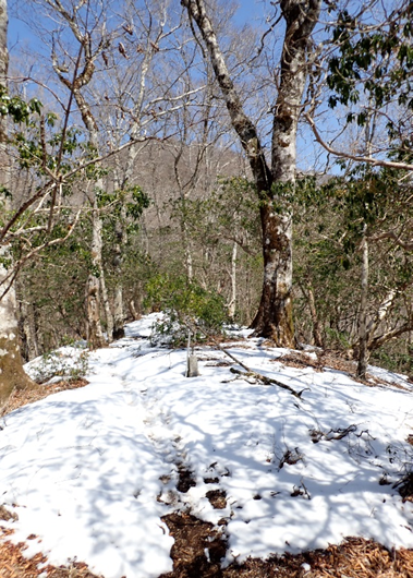 畦ヶ丸避難小屋周辺