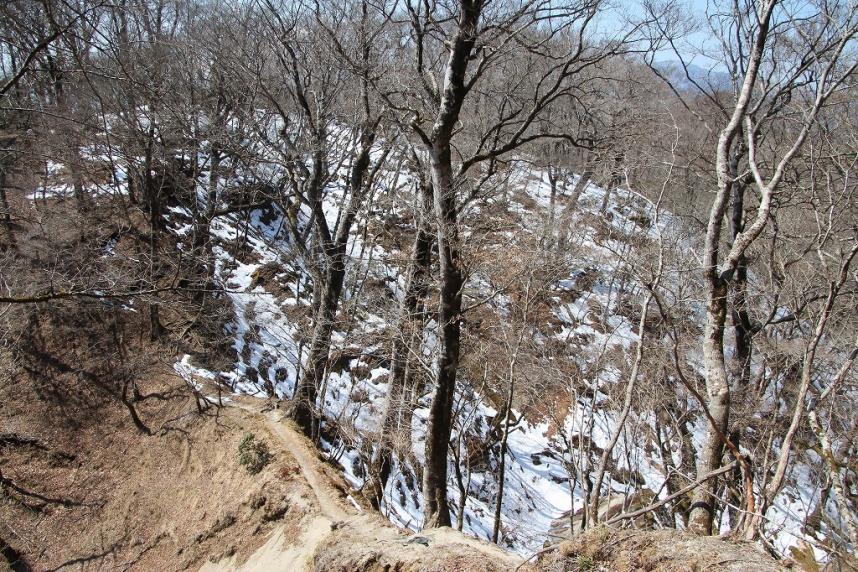 畦ヶ丸山頂周辺大滝沢方面