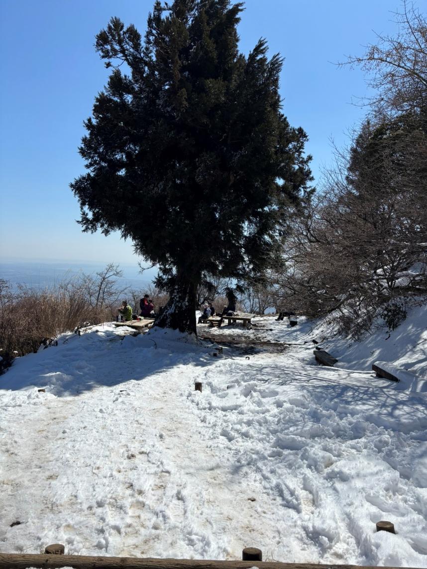 大山山頂トイレ前広場