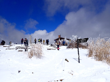 塔ノ岳山頂