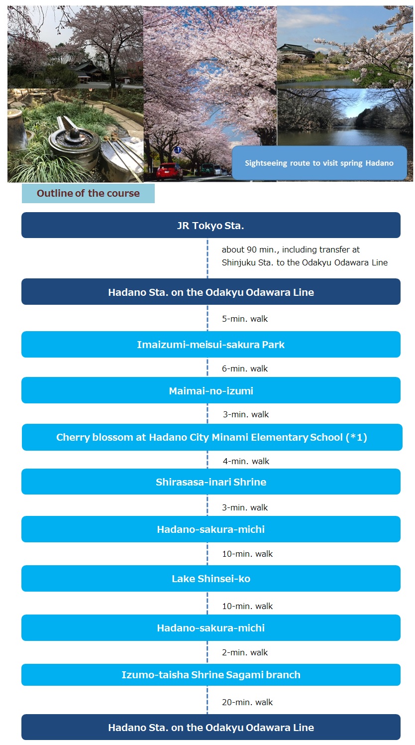 hadanocourse
