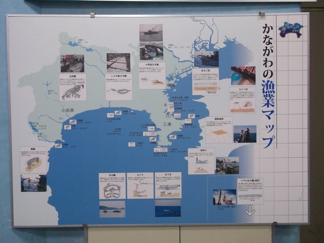 かながわの漁業マップ