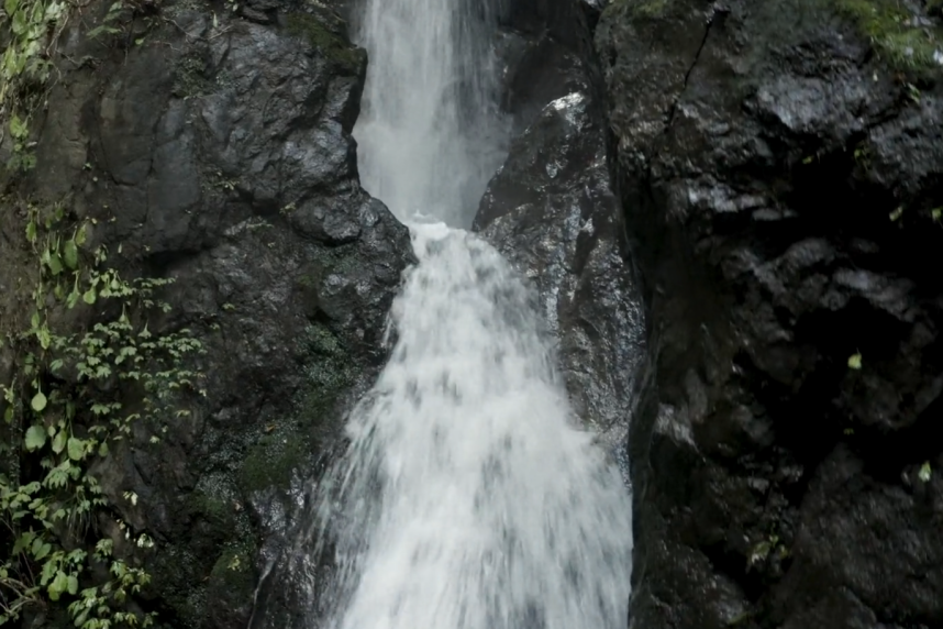 丹沢山系の水