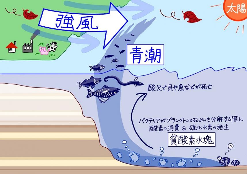 aoshio