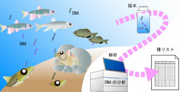 dna