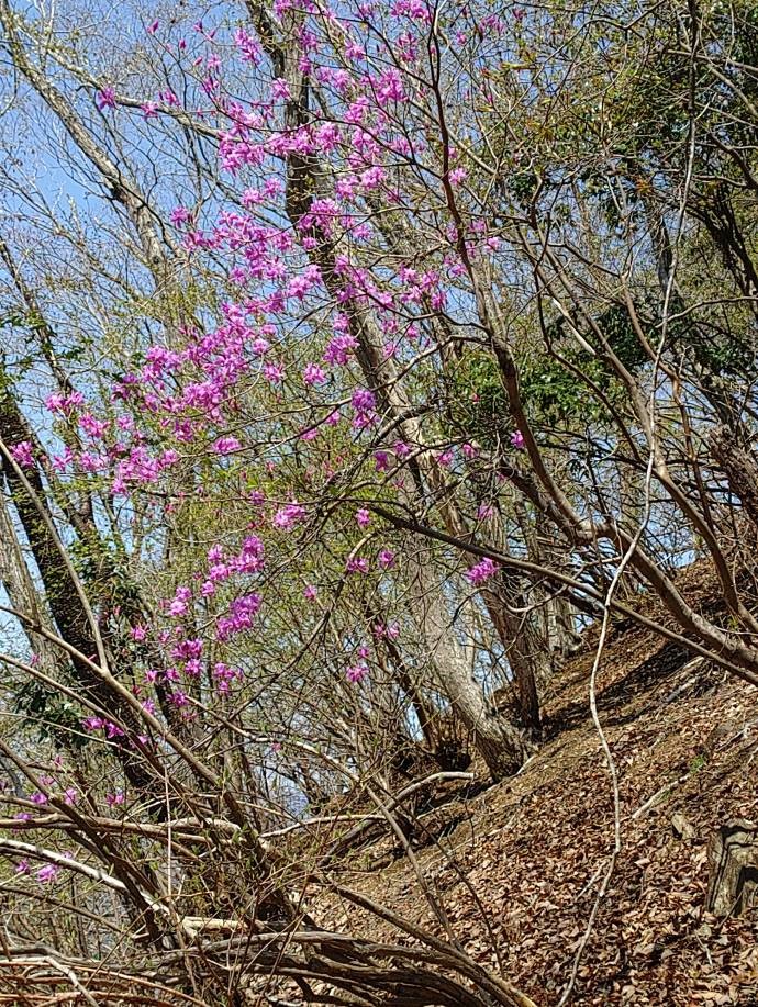 石砂山