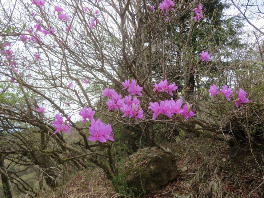 二ノ塔山頂周辺