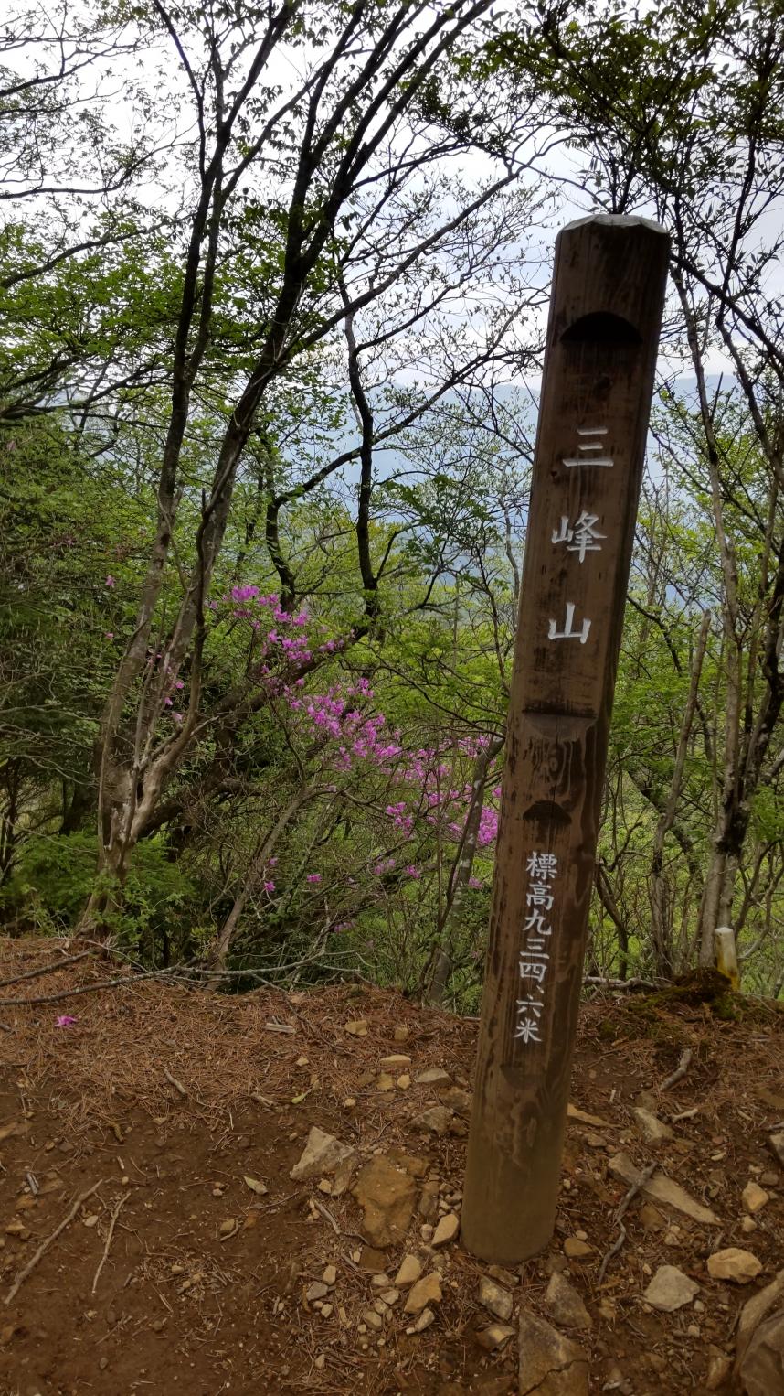 山頂周辺
