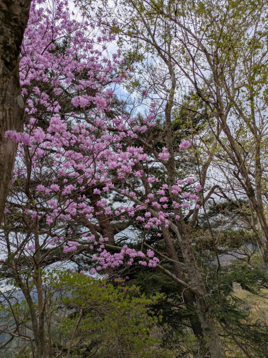 ookuraone