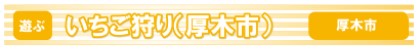 イチゴ狩り（厚木市）