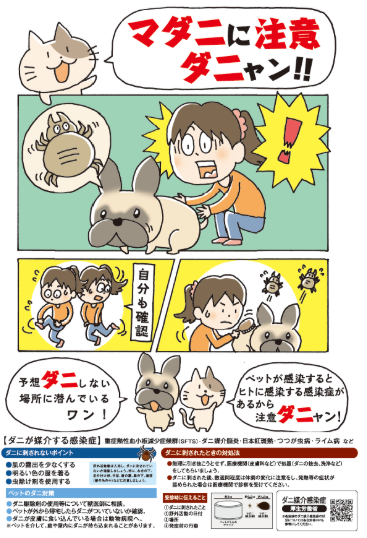 チラシ