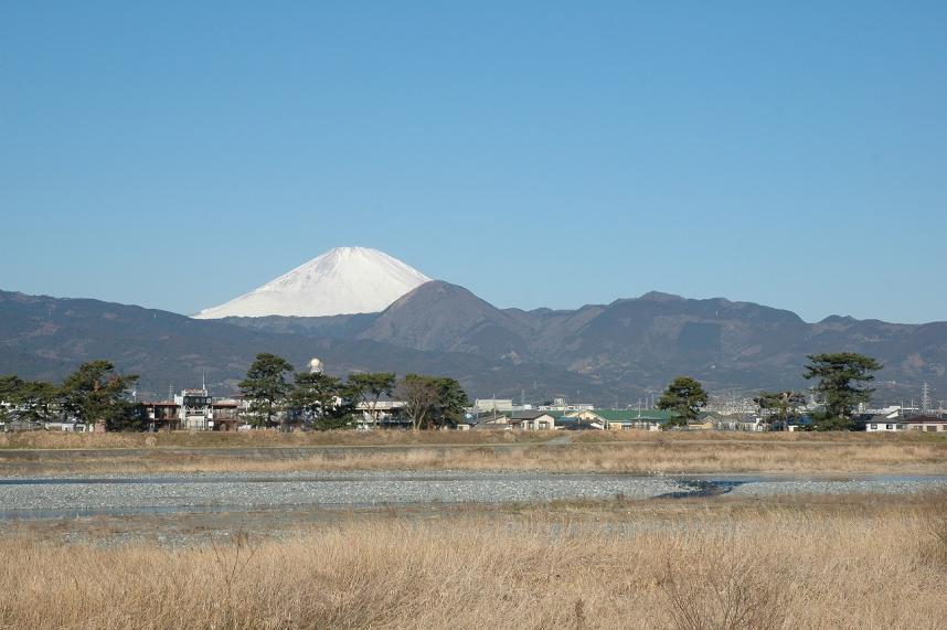 栢山からの富士山