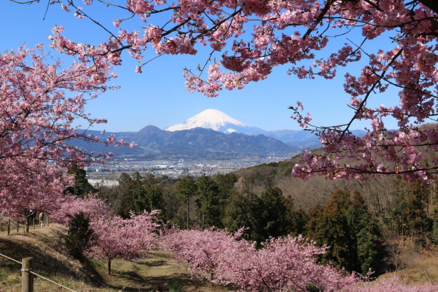 農村公園から望む富士山の写真