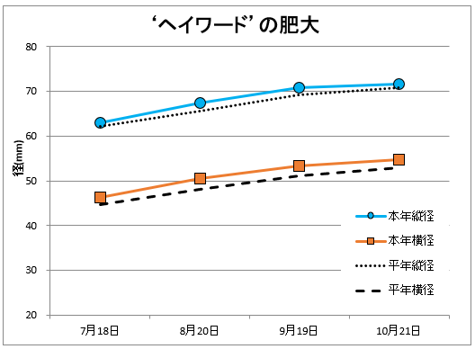 ヘイワード果実肥大