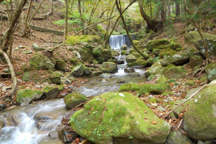 不動尻渓谷画像