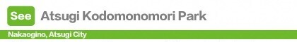 Atsugi Kodomonomori Park