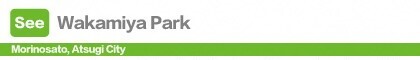 Wakamiya Park