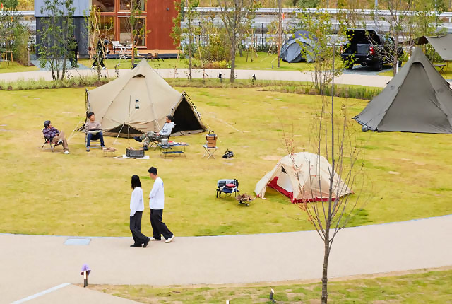 キャンプフィールド