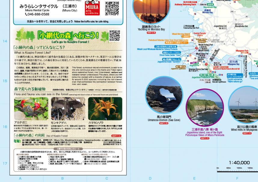 7三浦南西部・「小網代の森」