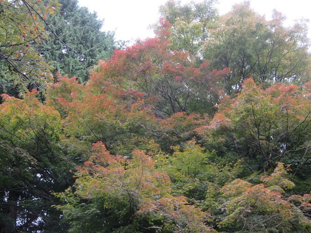 10月10日明王峠