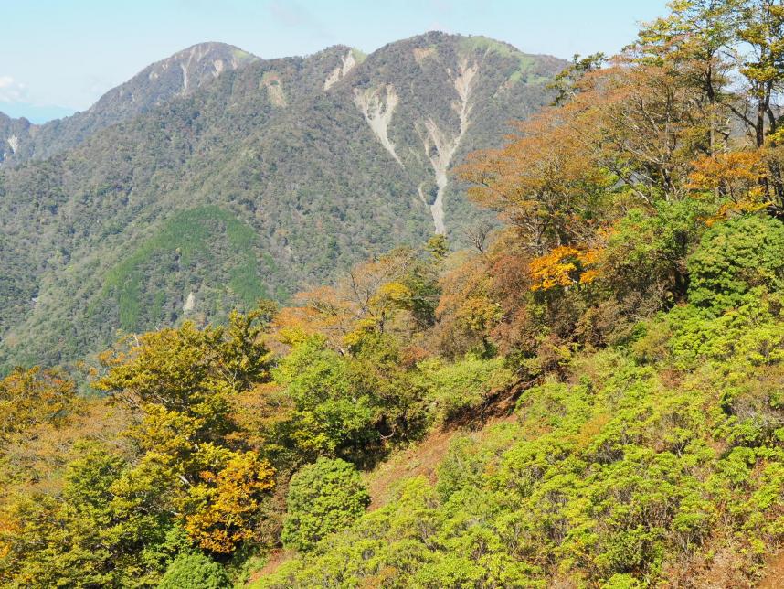 10月17日塔ノ岳山頂から丹沢山方面そろそろ見ごろ