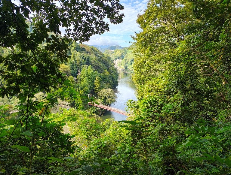 10月18日弁天橋色づき始め
