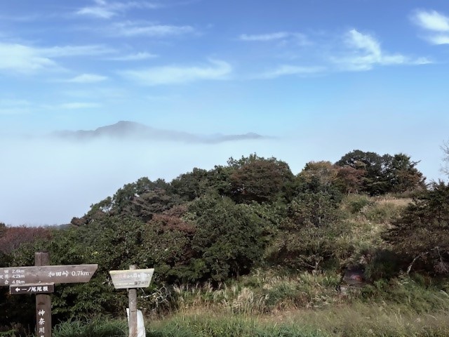 10月12日陣馬山山頂周辺